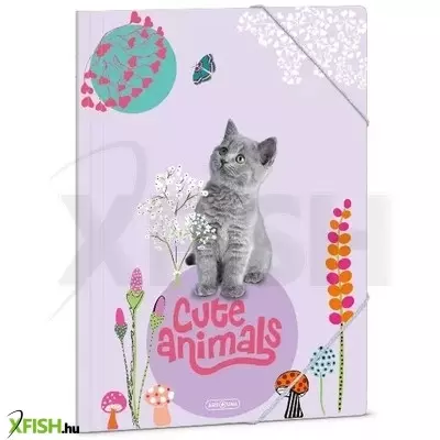 Cute Animals: Dosszié cica mintával, A4