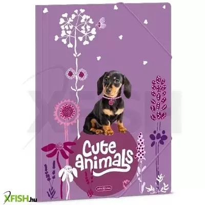 Cute Animals: Dosszié tacskó kutya mintával, A4