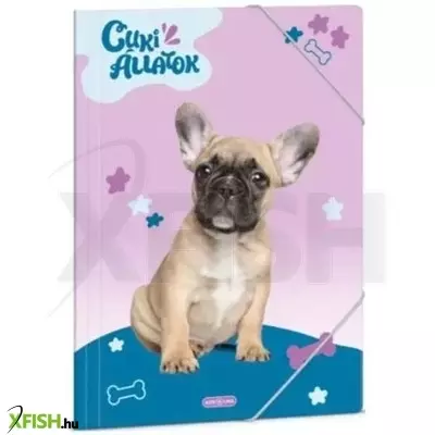 Cute Animals: Dosszié bulldog kutya mintával, A4