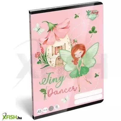 Fairy Ballerina: Vonalas füzet - 3. osztályos, 12-32, A5