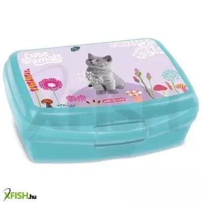Cute Animals: Uzsonnás doboz - Cica mintás
