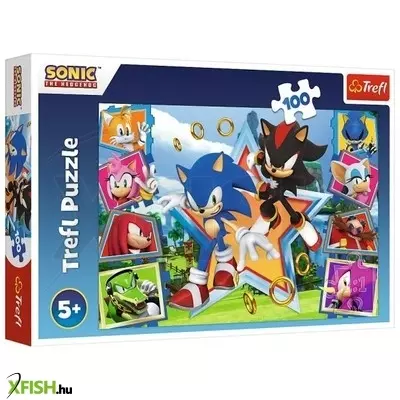 Trefl: Sonic, a sündisznó, a találkozás - 100 darabos puzzle