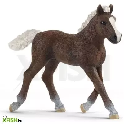Schleich: Schwarzwaldi csikó figura 13899