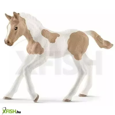 Schleich: Paint Horse csikó figura 13886