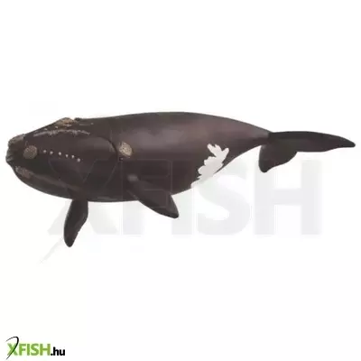 Schleich: Észak-Atlanti kisbálna figura 14878