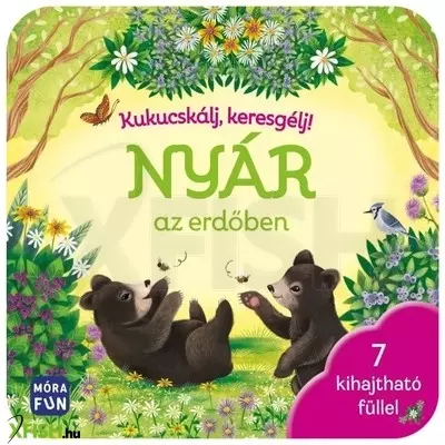 Kukucskálj, keresgélj! - Nyár az erdőben