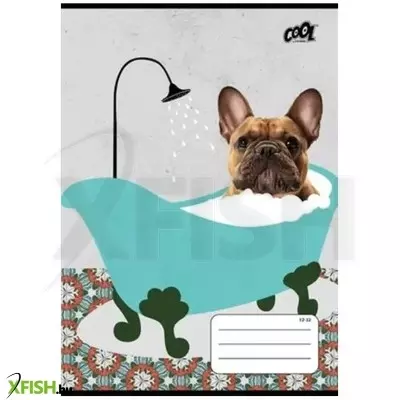 Bath: A5-ös vonalas füzet, 2. osztályos - 16-32 - többféle