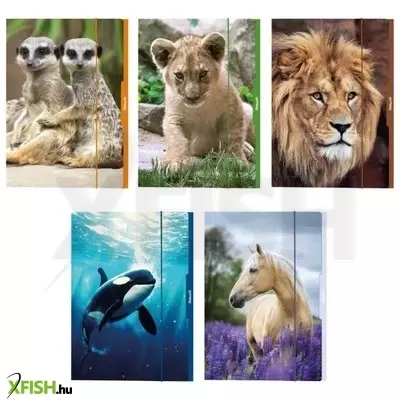 Állat mintás gumis mappa, A3 - többféle