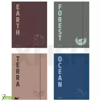 Terra: Gumis mappa, A4-es - többféle