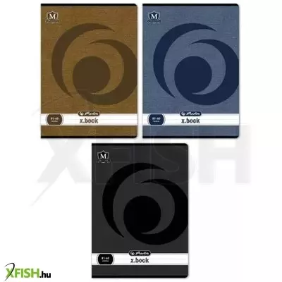 Montana: A4-es vonalas füzet - többféle