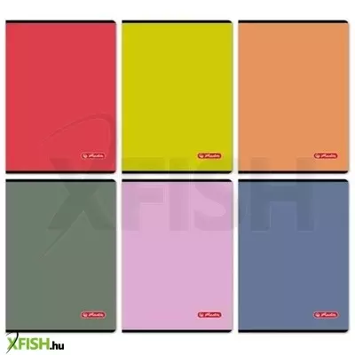 Colors vonalas füzet, A4-es - többféle