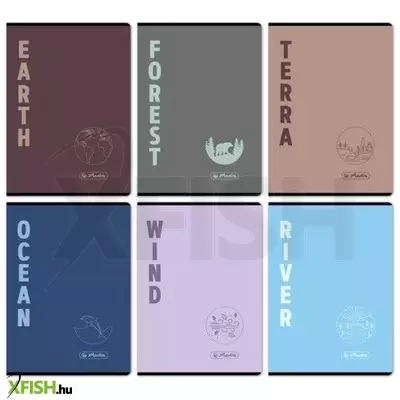 Terra négyzetrácsos füzet, A4-es - többféle