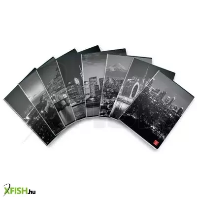 Pigna: By Night négyzetrácsos füzet - A4, többféle