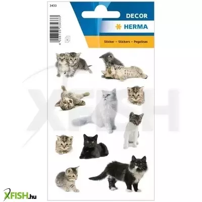 Herma: Cica fotók matrica