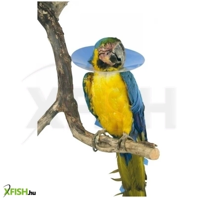 Kruuse Védőgallér Papagáj 140mm