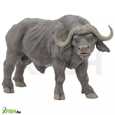 Papo afrikai bölény