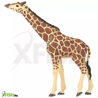 Papo zsiráf nyújtott nyakkal 50236