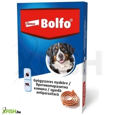 Bolfo Nyakörv Nagytestu Kutyák Részére