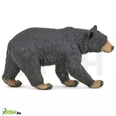 Papo amerikai fekete medve