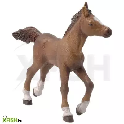 Papo futó barna csikó 51076