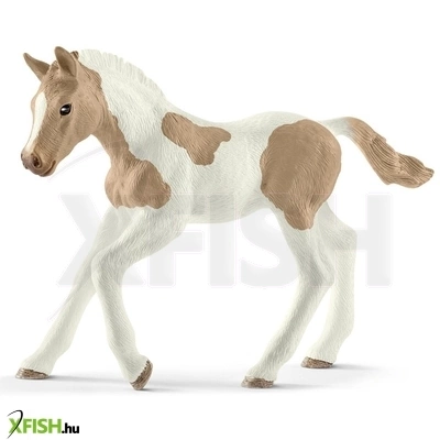 Schleich paint horse csikó