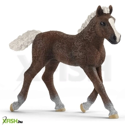 Schleich schwarzwaldi csikó