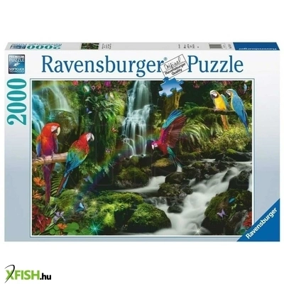 Ravensburger puzzle 2000 db - színes papgájok a dzsungelban
