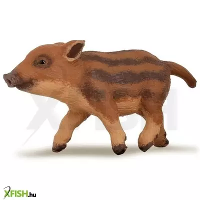 Papo vaddisznó malac