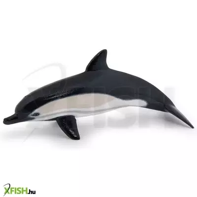 Papo közönséges delfin