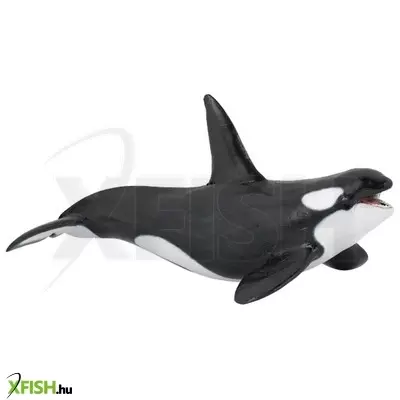 papo gyilkos bálna 56000