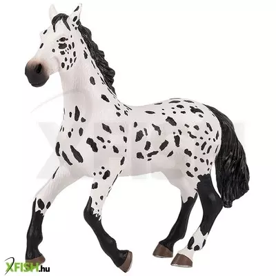 Papo nagy appaloosa ló 50199