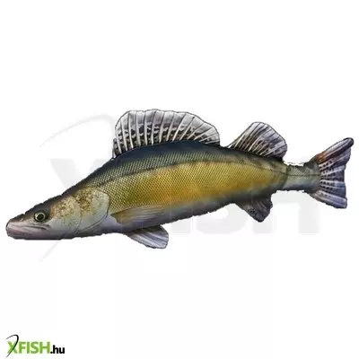 halas párna süllő