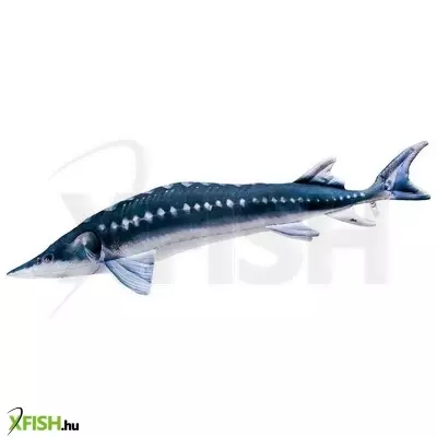 Halas Párna Monster European Sturgeon 200cm