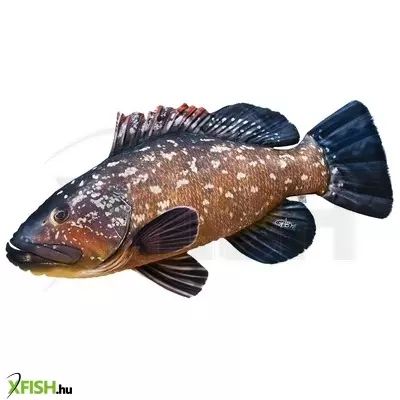 Pillow The Dusky Grouper Halas Párna 100cm