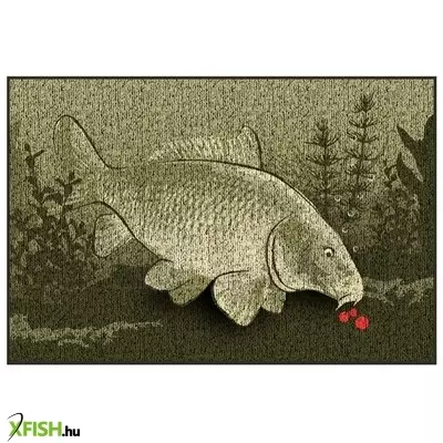 delphin catchme! ponty szőnyeg 60x40 cm