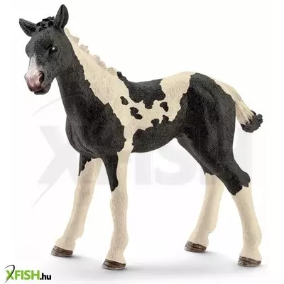 Schleich pinto csikó