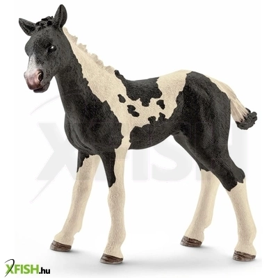 schleich pinto csikó