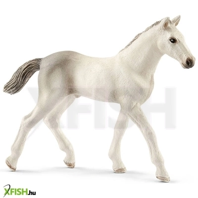 Schleich holstein csikó