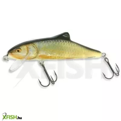 Salmo Wobbler Skinner Sk10F Rr