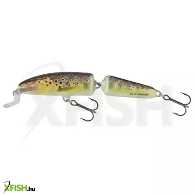 Salmo Fanatic Wobbler (7Cm/T)