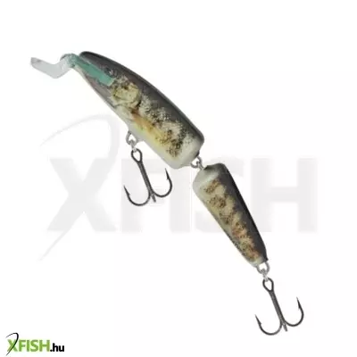 Salmo Wobbler Fanatic If7F Rg