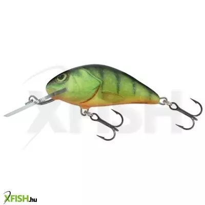 Salmo Wobbler H3F Gfp