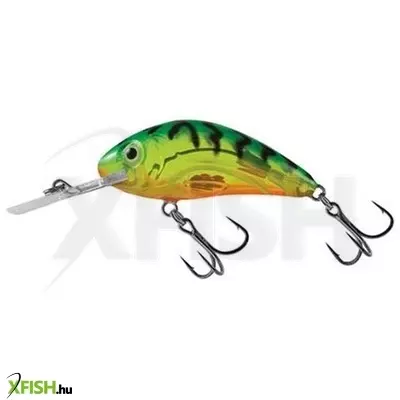 Salmo Wobbler Rattlin' Hornet H 4,5 cm 6 g Chg
