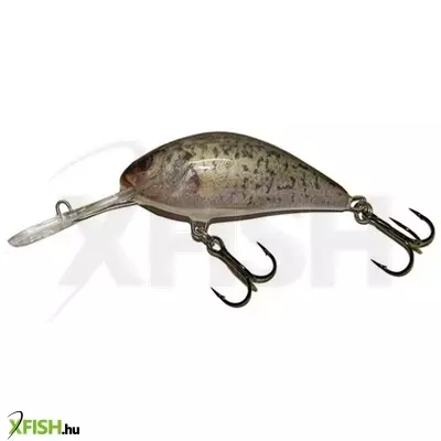 Salmo Wobbler Hornet H5F Rcr