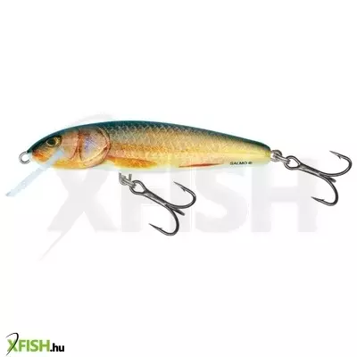 Salmo Wobbler Minnow M5F Rr