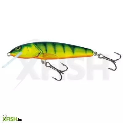 Salmo Wobbler Minnow M5S Hp