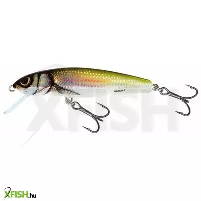 Salmo Wobbler Minnow M5S Hbl