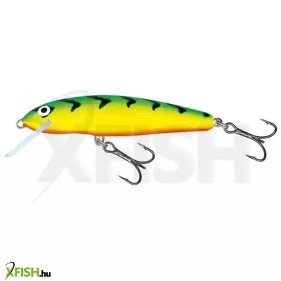 Salmo Wobbler Minnow M6S Gt 6 Cm