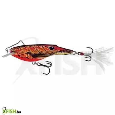 Salmo Wobbler Rail Shad Rbfcr 6 cm 14 g