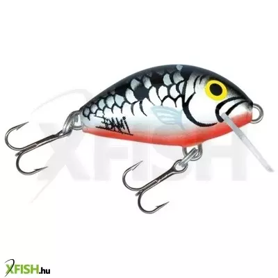 salmo wobbler tiny it3f si